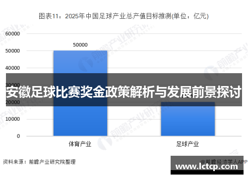 安徽足球比赛奖金政策解析与发展前景探讨